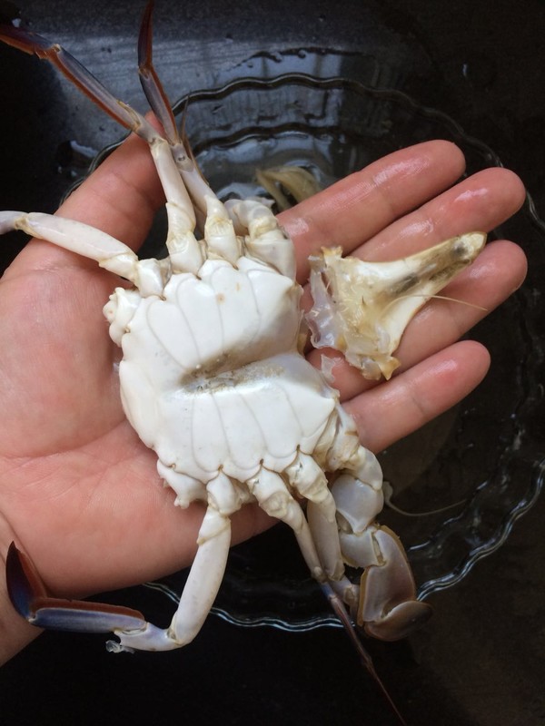 Crab Seafood Congee recipe