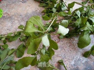 Cold Double Bud recipe