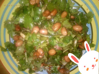 Peanuts with Coriander and Old Vinegar recipe