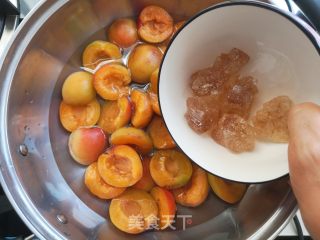 Rock Sugar Apricot recipe