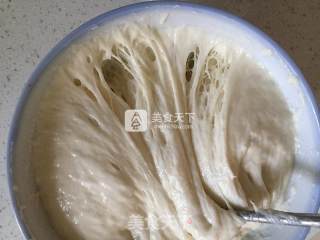 Polish Seed Honey Bean Meal Buns recipe