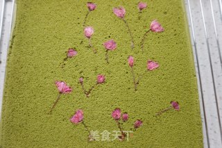 # Fourth Baking Contest and is Love Eating Festival# Matcha Sakura Cake Roll recipe