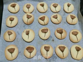 Cherry Blossom Cookies recipe