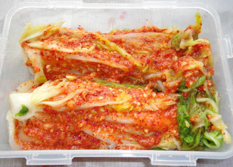 Learn to Make Authentic "korean Spicy Cabbage" recipe