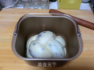 【honey Beans and Cocoa Two-color Toast】——manually Shaping Bread Machine Version recipe