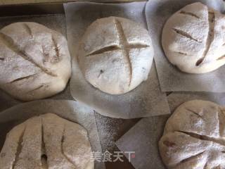 #柏翠大赛#whole Wheat Walnuts and Red Dates Ou Bao recipe