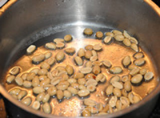 Kung Pao Chicken recipe