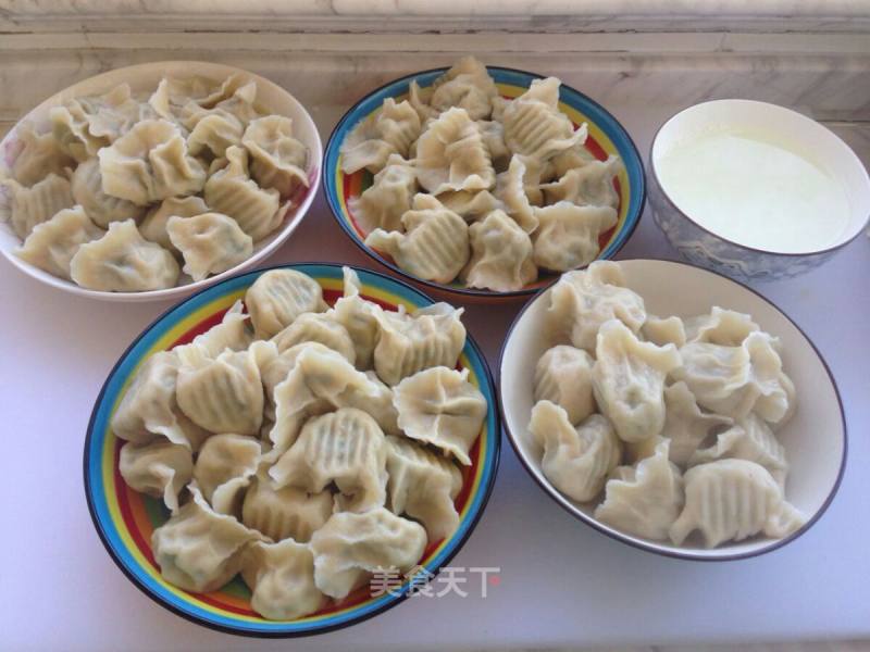 Handmade Dumplings recipe