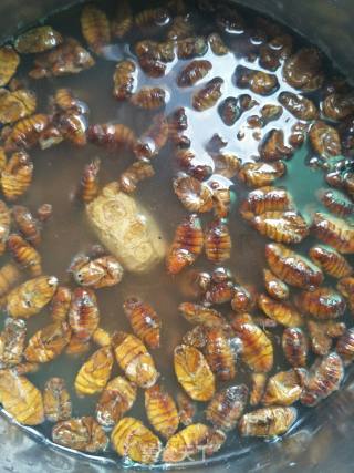 Fried Silkworm Chrysalis recipe