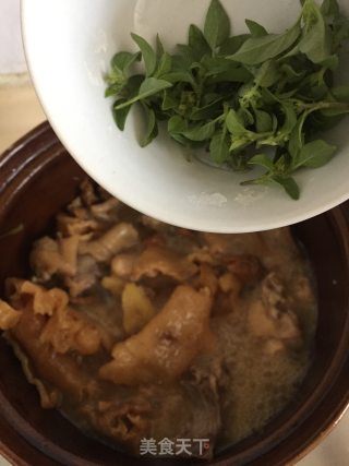 Stewed Chicken with Fish Maw recipe