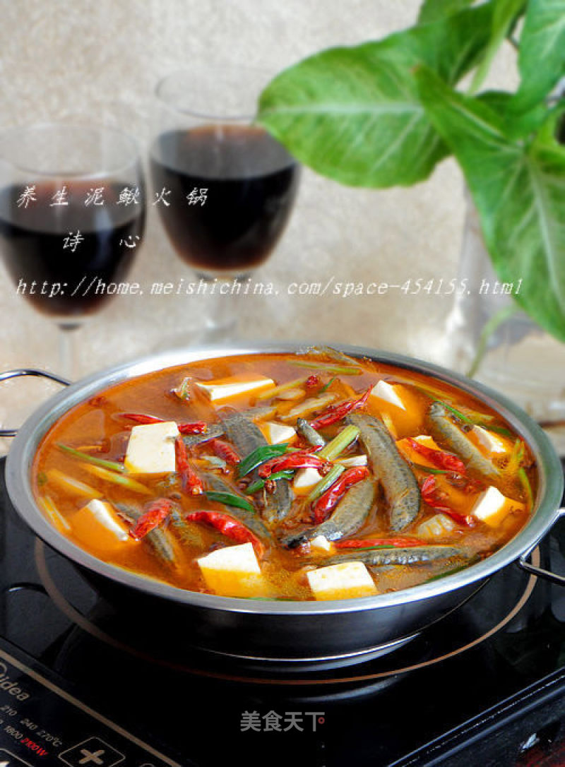 【healthy Loach Hot Pot】--- Get Out of Nutrition and Out of Health recipe