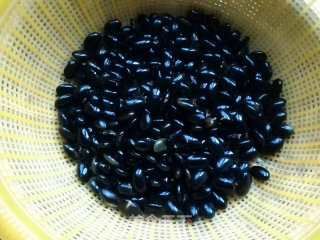 Homemade Black Bean Sprouts recipe