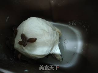 Light Cream Raisin Bread recipe