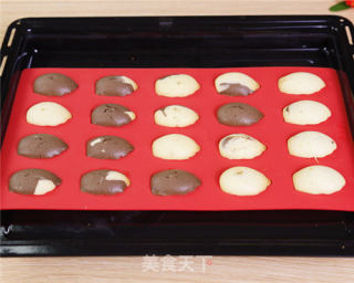 The Practice of Two-tone Madeleine recipe