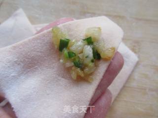 Krill Wontons recipe