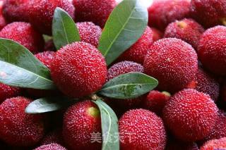 Bayberry and Lychee Popsicles recipe
