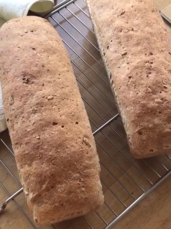 Whole Wheat Nut Bread recipe