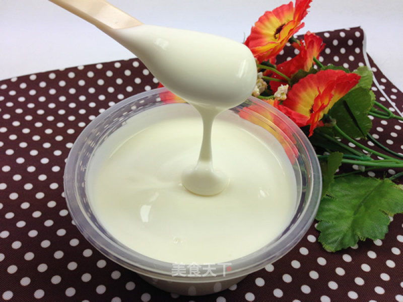 Homemade Probiotics Handmade Yogurt recipe