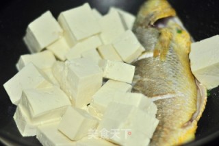 Yellow Croaker Braised Tofu recipe