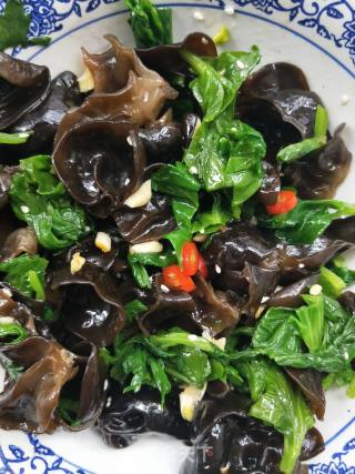 Celery Leaf Vinegar Mixed Fungus recipe