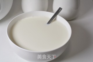 Homemade Plain Yogurt recipe