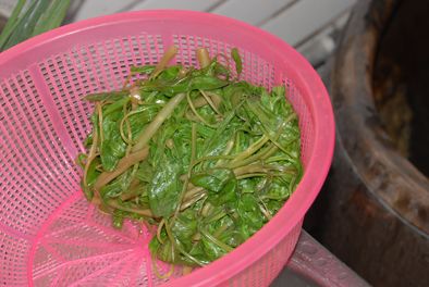 Coleslaw Liver and Spinach recipe