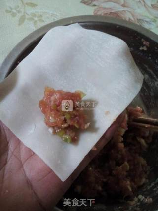 Pork Scallion Wonton recipe