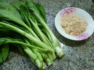 Stir-fried Cantonese Cabbage Shrimp recipe