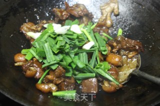 【xiamen】beer Braised Lamb recipe