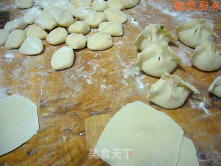 Vegetable Meat Dumplings recipe