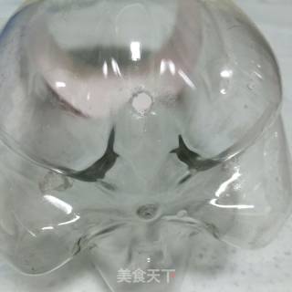 Use Cola Bottle to Grow Bean Sprouts recipe