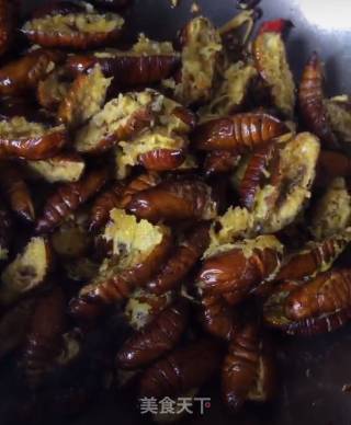 Dry Stir-fried Silkworm Pupa recipe