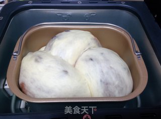 【honey Beans and Cocoa Two-color Toast】——manually Shaping Bread Machine Version recipe