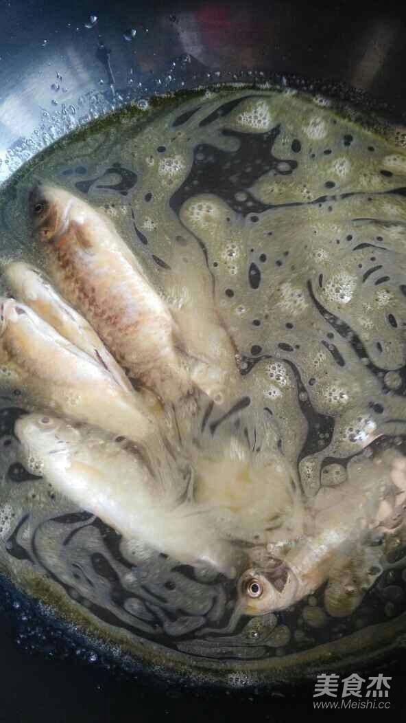 Wild Crucian Carp Soup recipe