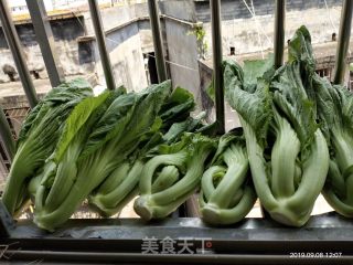 Pickled Cabbage recipe