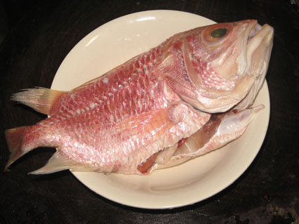 Braised Red Snapper recipe