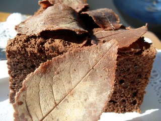 Chocolate Fallen Leaves Cake recipe