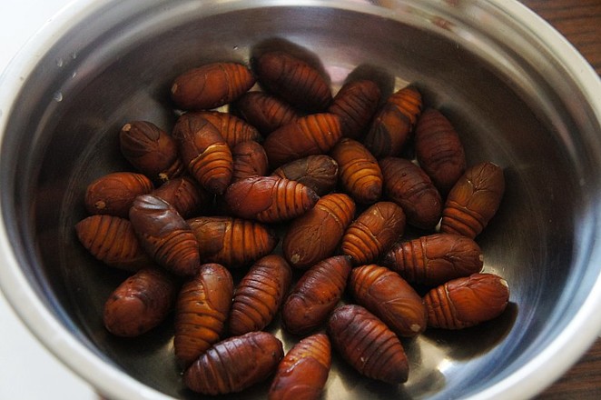 Stir-fried Silkworm Pupa with Green Onion and Ginger recipe