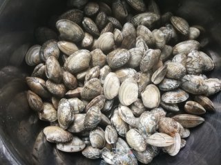 Steamed Clams recipe