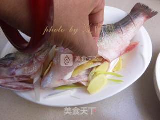 Ginger Perch recipe