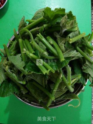 Stir-fried Pumpkin Tip recipe