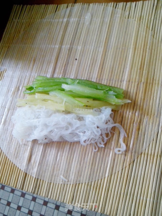 Vietnamese Style Vegetarian Spring Rolls recipe