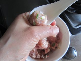 Mushroom Tomato Meatball Soup recipe