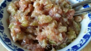 Xiaonian "hundred Cai Dumplings" recipe