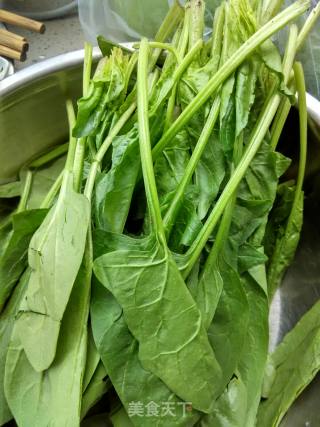 Freshly Prepared Cold Dish at Noon: Spinach in Ginger Sauce; Refreshing Vegetable Dish: Stir-fried Shrimp Skin with Winter Melon recipe