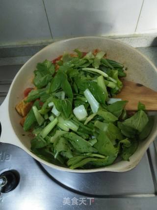 Stir-fried Tofu with Tomatoes and Rape recipe