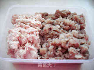 Silver Carp Dumplings recipe
