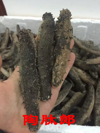 Tao Dilang Shares: American Red Ginseng Foaming and Cold Dressing recipe