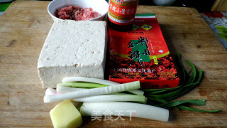 Braised Tofu with Minced Meat recipe