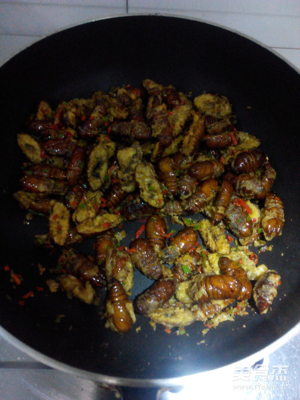 Open Side Silkworm Chrysalis recipe